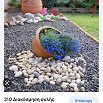 בית הארחה Aerides 3*