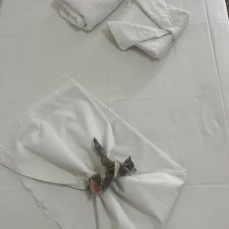 Aerides Konukevi 3*